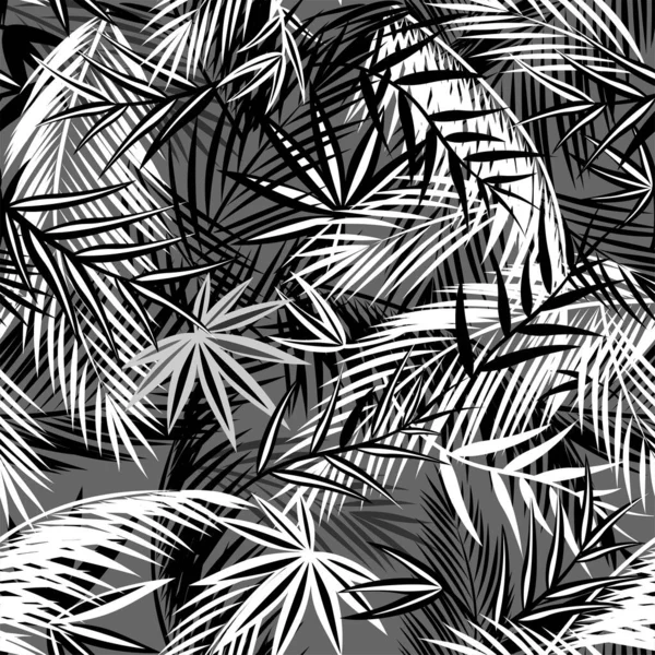 Fondo Blanco Negro Sin Costuras Con Hojas Coco Palmeras Hojas — Vector de stock