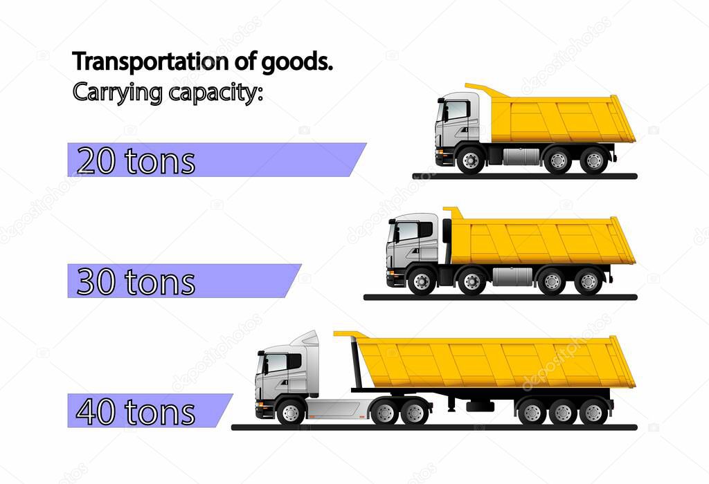 Infographics of the carrying capacity of dump trucks for the transportation of bulk cargo with a carrying capacity of 20, 30 and 40 tons. Flat vector illustration.
