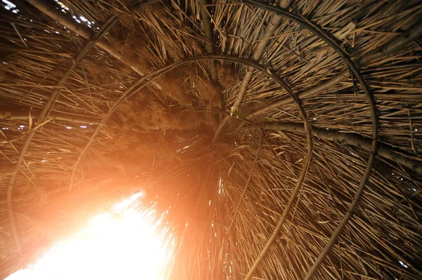 Reed Wigwam Hütte Die Behausung Der Primitiven Menschen Innenansicht — Stockfoto