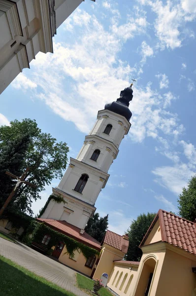 Szűz Mária Mennybemenetele Katedrális Harangtornya Pinskban Fehérorosz Köztársaságban — Stock Fotó