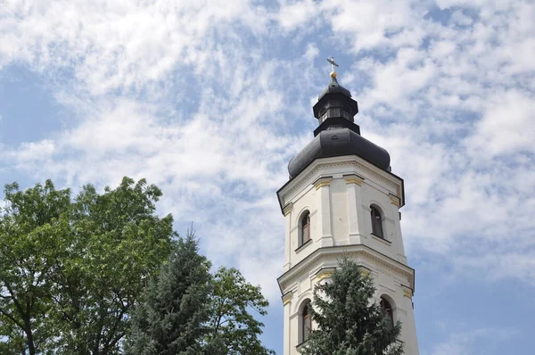 Campanario Catedral Asunción Santísima Virgen María Pinsk República Bielorrusia —  Fotos de Stock