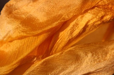 Ekstrem makro çekim. Sarı lale yapraklı soyut arkaplan