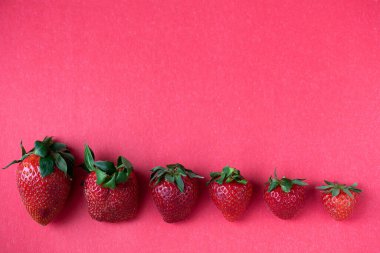 Çilek kırmızı arka planda bir sırada serildi. Yaz meyveleri. Ekonomik ya da iş hacmi ya da kriz kavramı. Yatay, dikey, boşluğu kopyala
