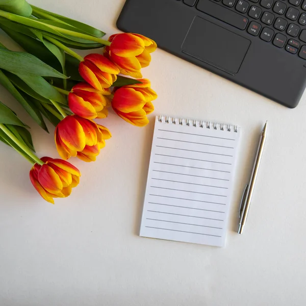 Bouquet of red and yellow tulips on white paper background with laptop, spiral notebook and pen template for advertising or visualization of blog with copy space for text. Business holiday Square