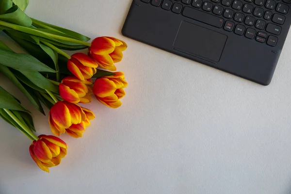 Bouquet of red yellow tulips on white paper background with a laptop on work place. Template for advertising or visualization of blog with copy space for text. Business card. Holiday certificate.