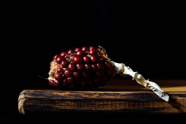 Sonbahar minimalist, olgun kırmızı bir mısır koçanıyla ahşap masada sade siyah arka planda. Seçici yumuşak odaklanma. Hollanda natürmortu