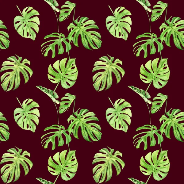 Watercolor illustration seamless pattern of tropical leaf monstera. Perfect as background texture, wrapping paper, textile or wallpaper design. Hand drawn — Stock Photo, Image