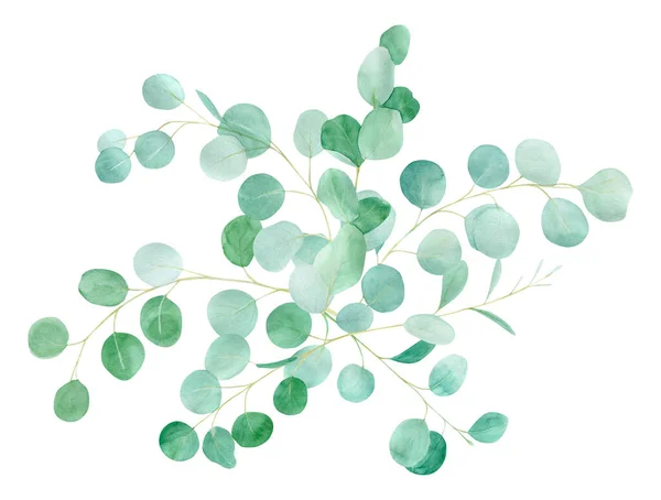 Aquarelle florale verte avec eucalyptus. motif peint à la main avec des branches d'eucalyptus. parfait pour la conception de mariage — Photo