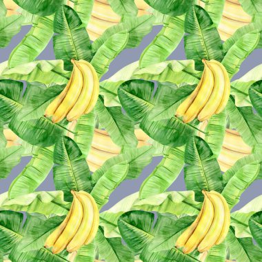Suluboya çizimi, tropik muz palmiyesi yaprakları ve meyvelerin kusursuz deseni. Arka plan dokusu, ambalaj kağıdı, tekstil ya da duvar kağıdı tasarımı kadar mükemmel. El çizimi