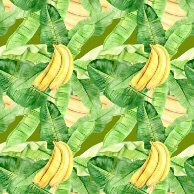 Suluboya çizimi, tropik muz palmiyesi yaprakları ve meyvelerin kusursuz deseni. Arka plan dokusu, ambalaj kağıdı, tekstil ya da duvar kağıdı tasarımı kadar mükemmel. El çizimi