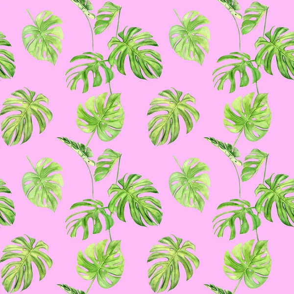 Ilustración de acuarela patrón sin costura de la monstera de hojas tropicales. Perfecto como textura de fondo, papel de embalaje, textil o diseño de papel pintado. Dibujado a mano —  Fotos de Stock