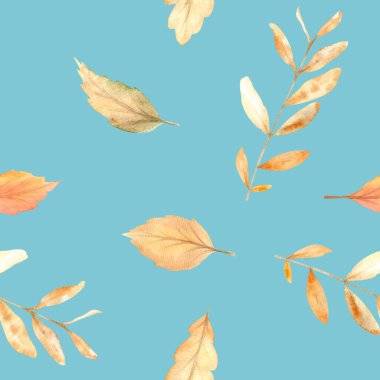 Sonbahar suluboya desenli, elle boyanmış sonbahar mevsiminin rahat sembolleri..