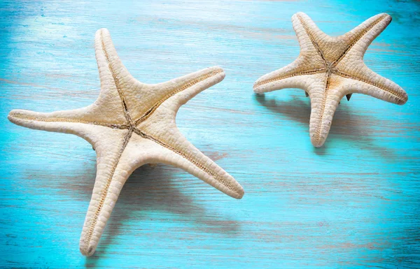 Морская звезда на небесном столе — стоковое фото