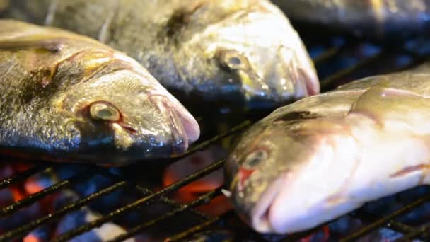 Besugo pescado asado fresco — Vídeos de Stock