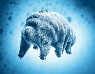 The water bear (tardigrade) clipart