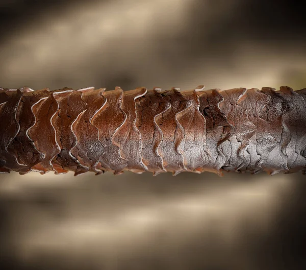 Menselijk Haar Onder Microscoop Illustratie Toont Structuur Van Gezond Menselijk — Stockfoto