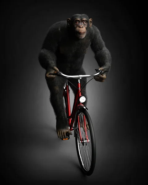 Monkey Bike Black Background Illustration — Stock Photo, Image