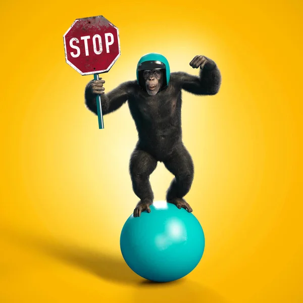 Monkey Holding Stop Road Sign Balancing Ball Illustration — Stock Photo, Image