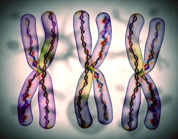 Chromozom x — Stock fotografie