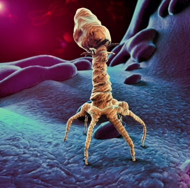Bacteriophage virus clipart