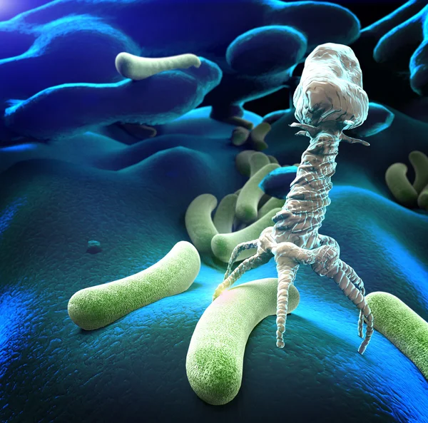 Вирус бактериофагов — стоковое фото