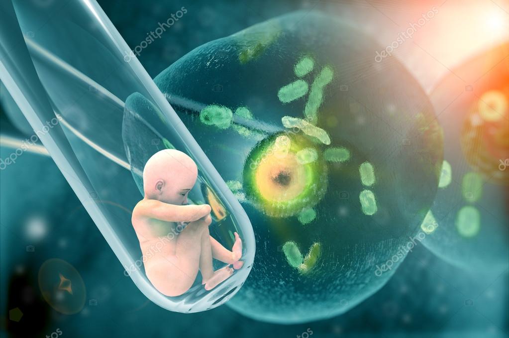 Fertilization, human cloning Stock Photo by ©Giovanni_Cancemi 79282876