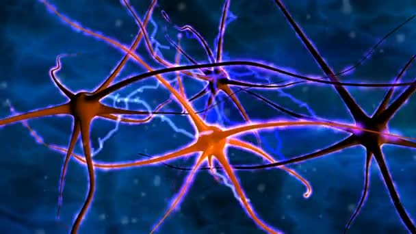 Нервові клітини — стокове відео