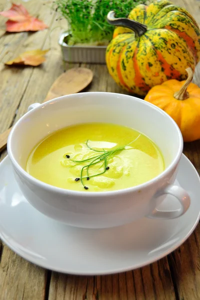 Crema de calabaza — Foto de Stock