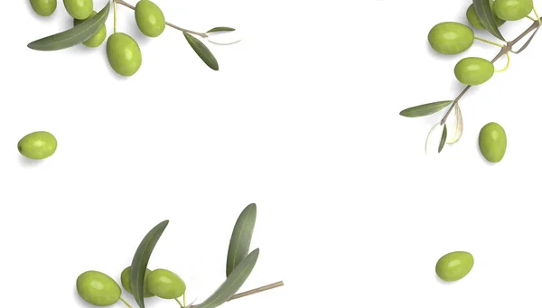 Branches with leaves and olives — Stock Photo, Image