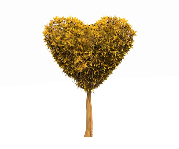 Baum mit Herz — Stockfoto