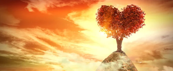 Sunset with heart tree — Stock Photo, Image