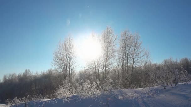 Zimní krajina a zářící sníh v krásném slunečném dni. — Stock video