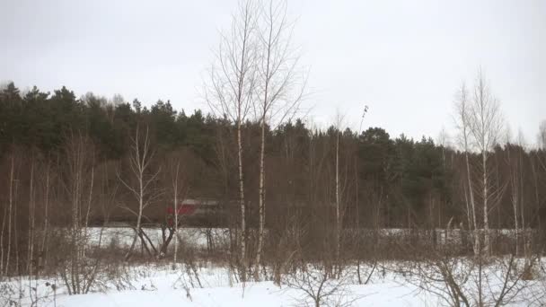 Passeios de trem de carga na bela paisagem de inverno. — Vídeo de Stock