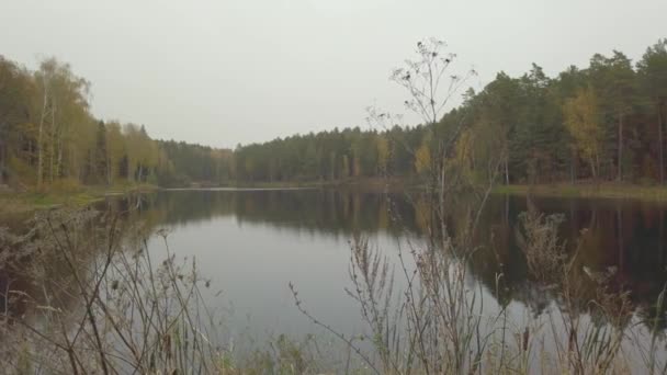 Beau lac forestier en automne. Poupée de qualité tirer. — Video