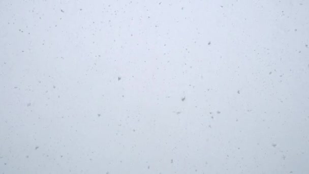 Images en boucle de neige blanche fraîche. Chute de neige. — Video