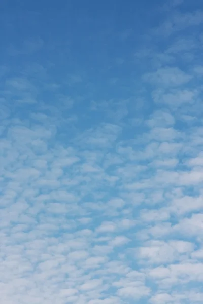 Céu da manhã . — Fotografia de Stock