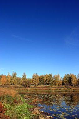 Finlandiya. Ormandaki göl.