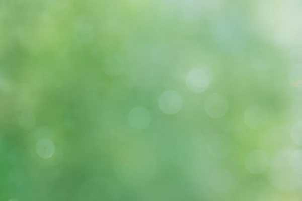 Green abstract background. Summer light. — Stock Photo, Image