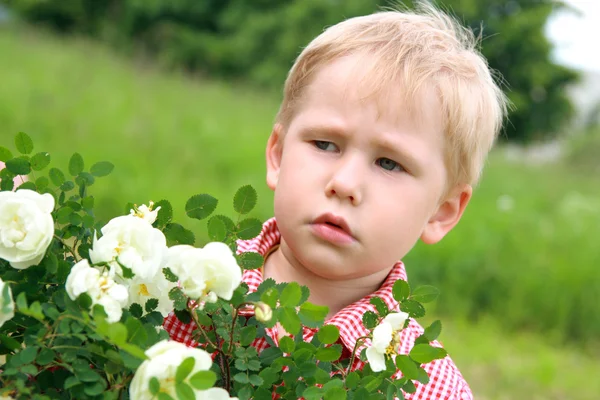 Dissatisfied child near the flowers. — Stock Photo, Image