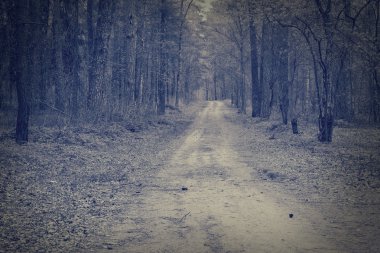 Yol karanlık bir orman yoluyla.