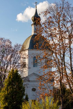 Dikey olarak Rus Ortodoks Kilisesi. 18. yüzyıldan Boris ve Gleb Kilisesi Belkino malikanesinde. Obninsk Şehri, Rusya