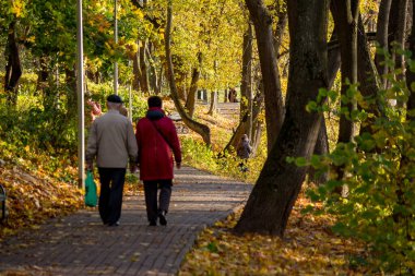 Sonbahar parkında yürüyüş parkı Belkino. Şehir parkında altın sonbahar. Obninsk, Rusya