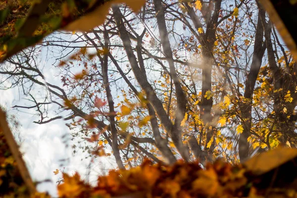 Odrzucone Stare Lustro Odzwierciedlające Jesienną Przyrodę Abstrakcyjny Widok — Zdjęcie stockowe