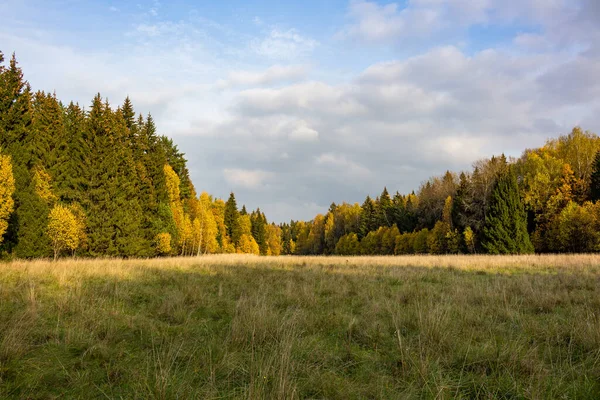 Minimalistyczny Jesienny Krajobraz Widokiem Pole Las Niebo — Zdjęcie stockowe