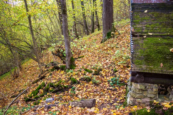 Eine Gut Ausgestattete Quelle Einem Waldgebiet Kuwschinowo Schukowski Bezirk Kaluschskij — Stockfoto