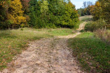 Resimli bir ortamda dolambaçlı kırsal bir yol