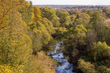 Rusya 'nın Kaluzhskiy bölgesindeki Luzha Nehri' nin nehir yatağının ve aşırı gelişmiş kıyılarının en üst manzarası. Bozulmamış doğanın güzel manzarası