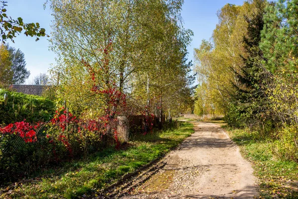 Simple View Rural Street Fences Road — Stock Photo, Image