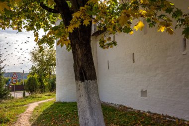 Borovsky Manastırı 'nın duvarlarının manzarası. Pafnutyev-Borovsky Erkekler Ortodoks Manastırı - Eylül 2020