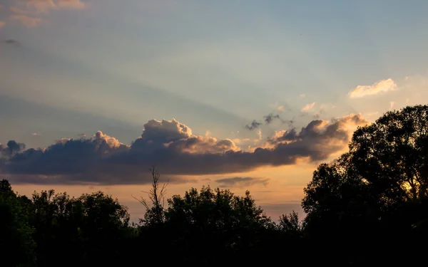 Промені Сонця Блакитному Небі Хмарами Фоні Дерев — стокове фото
